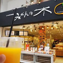 みかんの木