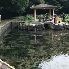 本宮の泉