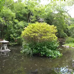 水の苑緑地