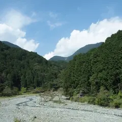 やどりき水源林