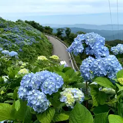 大川原高原