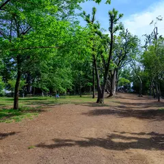 日吉の丘公園