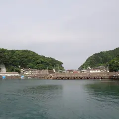 竹ケ島シーカヤック