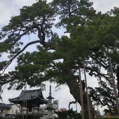 大慶寺