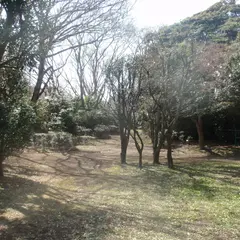 片瀬山公園