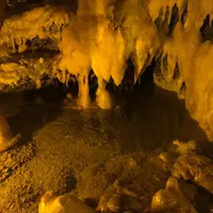 竜ヶ岩洞 あゆ狩り園