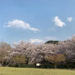 松阪市森林公園