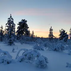 ウルホ・ケッコネン国立公園（Urho Kekkonen National Park）
