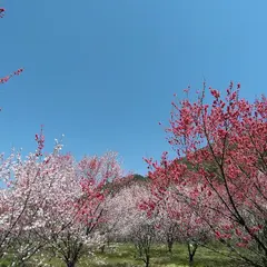 木曽駒森林公園