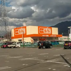 ザ・ビッグ北杜須玉店