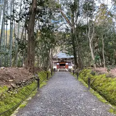 地蔵院（竹の寺）