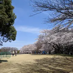 埼玉県農林公園