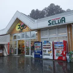 セルバ白州エブリ店