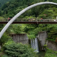 祖谷ロマン橋