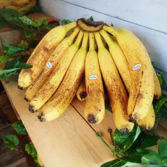 バナナジュース専門店 バナナライフ