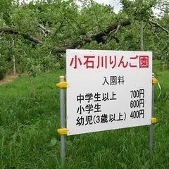 小石川観光りんご園