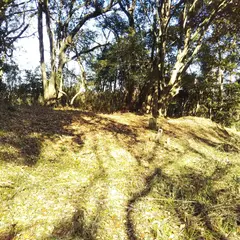 中尾城跡