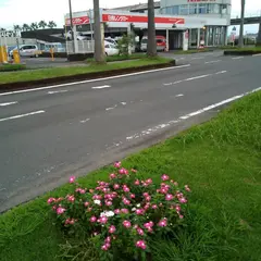 日産レンタカー 宮崎空港店