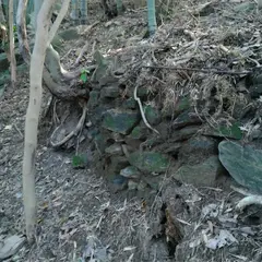 鳥越城