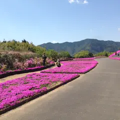 空の公園