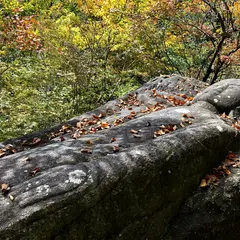 寝釈迦像