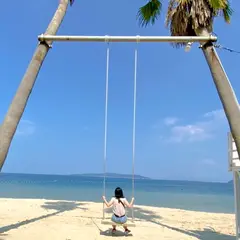 ヤシの木ブランコ