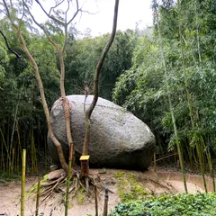 神在神社 神石