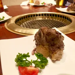 游來