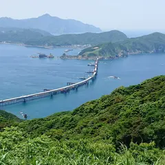 木の口展望所