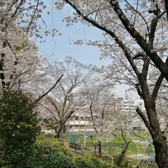 栄公園