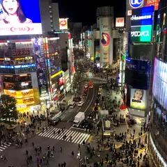 MAG's PARK Rooftop Shibuya Crossing