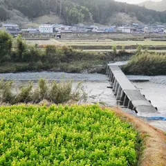 若井沈下橋