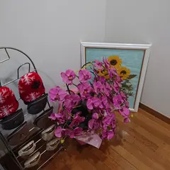 エルミタージュ