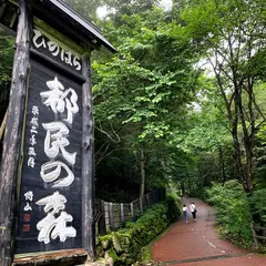 檜原都民の森 駐車場