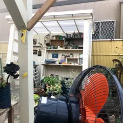 Succulent shop 3104