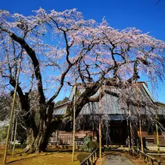 長光寺(日蓮宗)