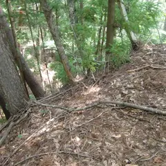 虚空蔵山城跡