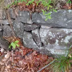 伊勢崎城跡(虚空蔵城跡)