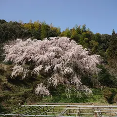 天徳寺