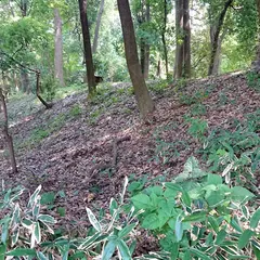 鶉古城跡