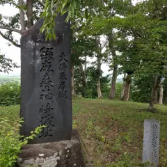 大枝城跡