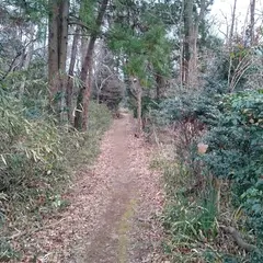 天神山城跡