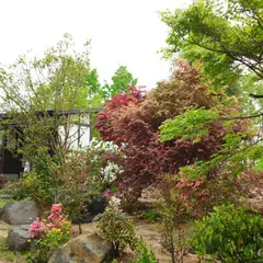 ひみつの花園