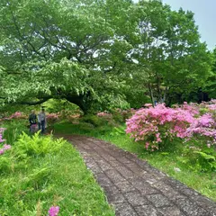 池ノ原園地