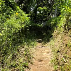 本納城跡