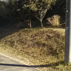 小林城跡