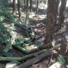 柚ノ木城跡