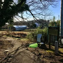 土屋城址