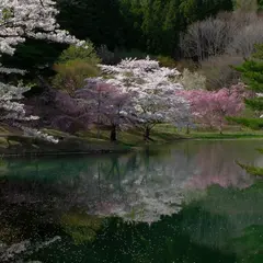 半田山自然公園