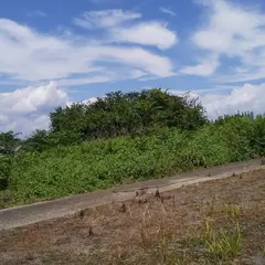 尾之窪城址